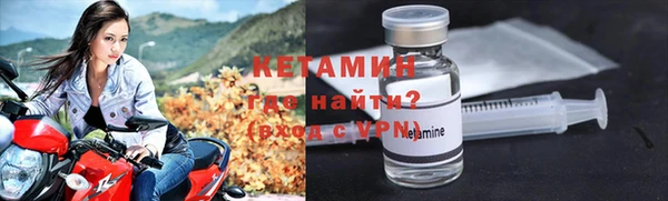 прущие грибы Наволоки