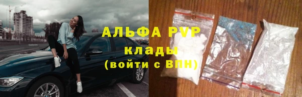 прущие грибы Наволоки