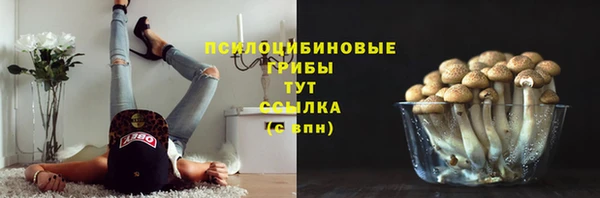 ECSTASY Навашино