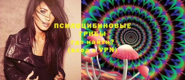 apvp Надым