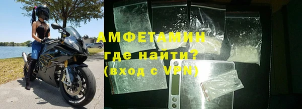 прущие грибы Наволоки