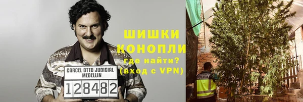 прущие грибы Наволоки