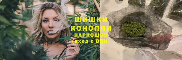 прущие грибы Наволоки