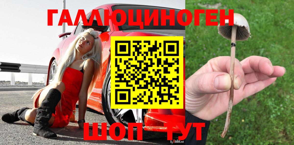 Псилоцибиновые грибы Magic Shrooms Майкоп