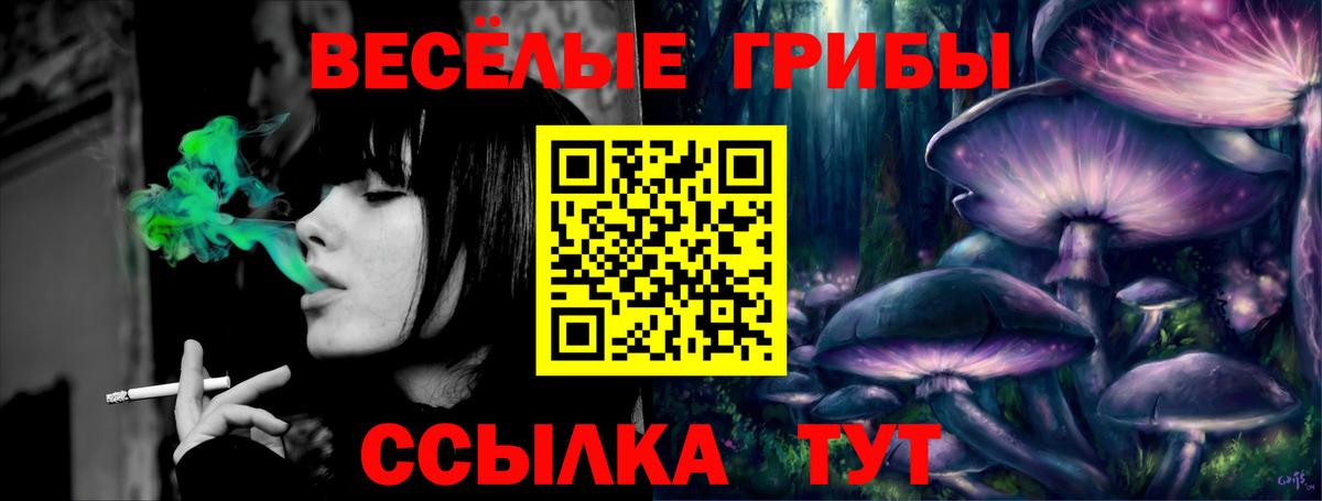 Галлюциногенные грибы ЛСД  Майкоп 