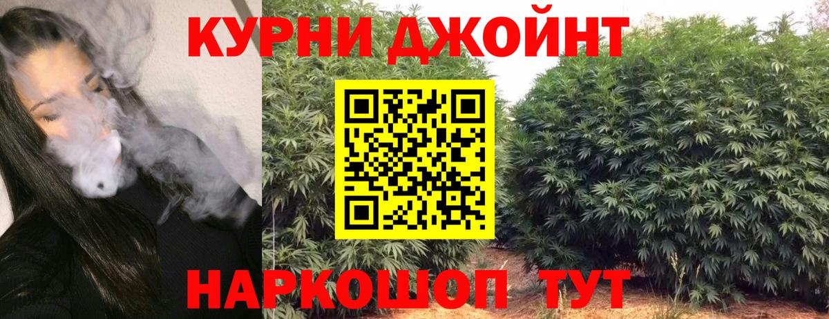 НБОМе Майкоп